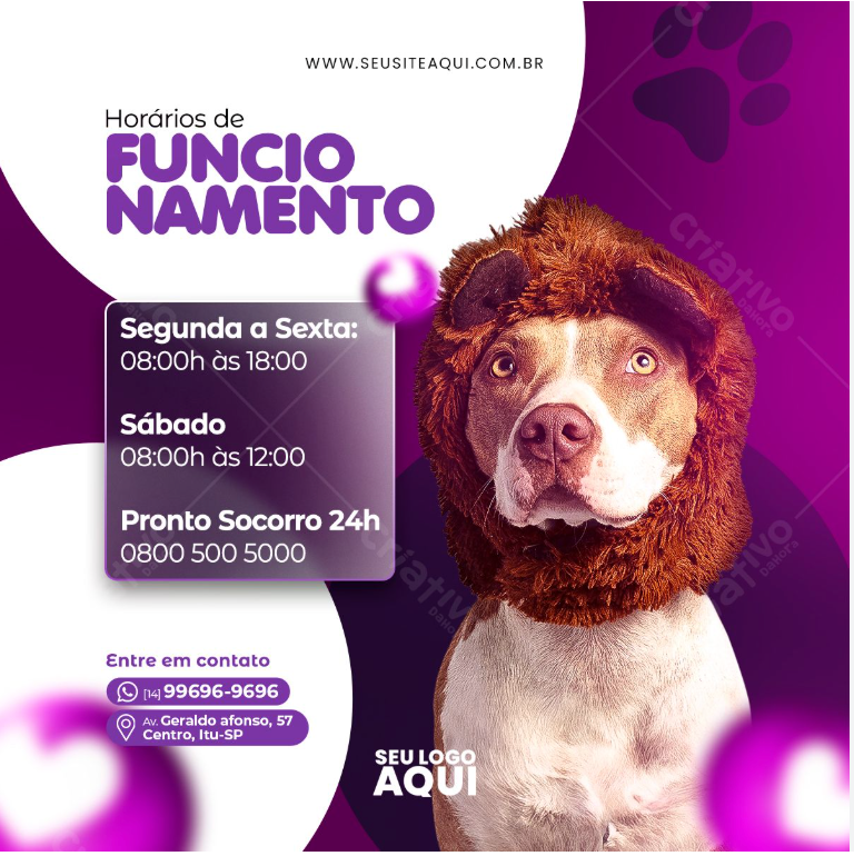 Exemplo de posts criados com InstaVet